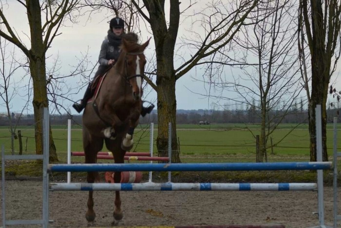 Photo de profil de louisesingery