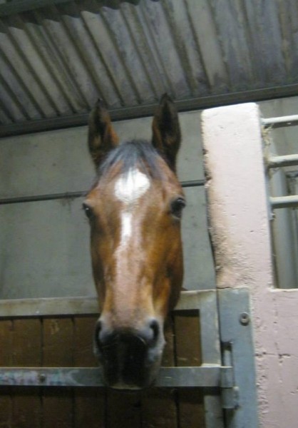 Photo de profil de malyssa