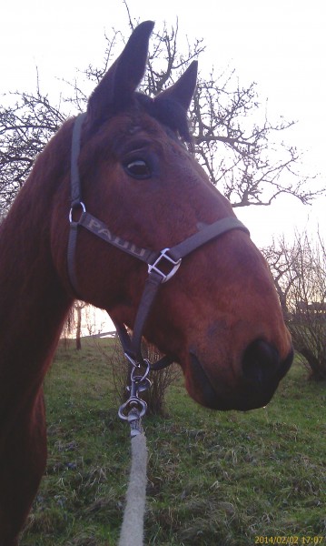 Photo de profil de manouchegaya