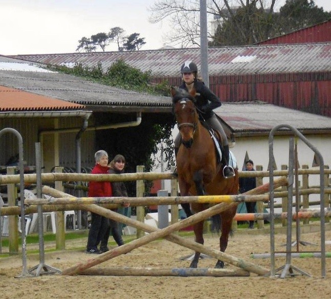 Photo de profil de maudpolo