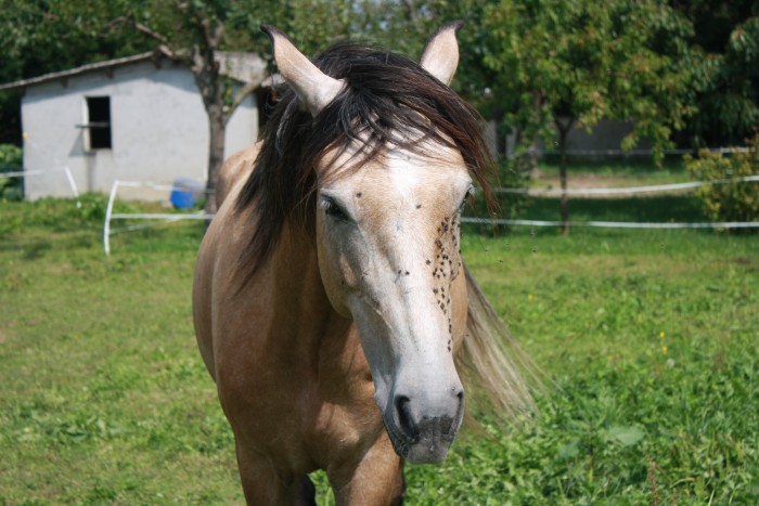 Photo de profil de maxoce
