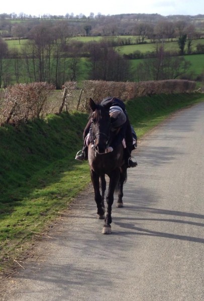 Photo de profil de mely53