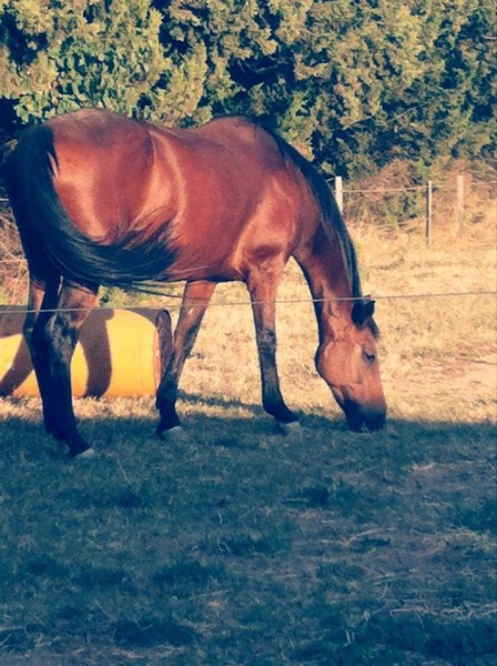 Photo de profil de melyissa