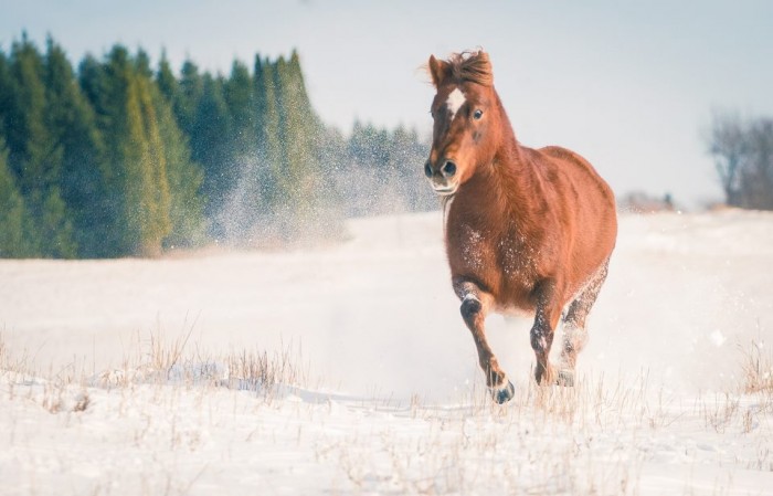 Photo de profil de merlinou1