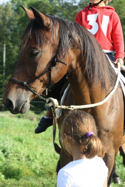 Photo de profil de m.isag