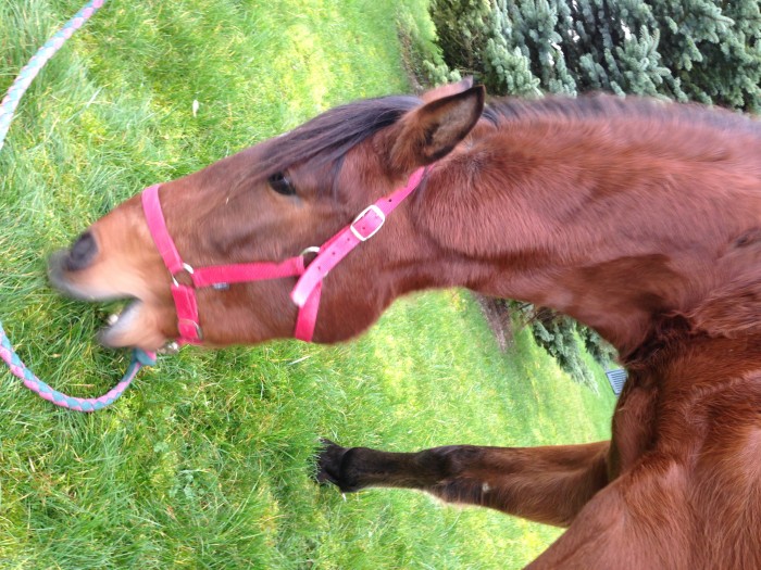 Photo de profil de misss