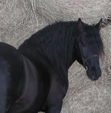 Photo de profil de mista123