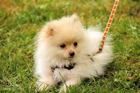 Photo de profil de momololdu35