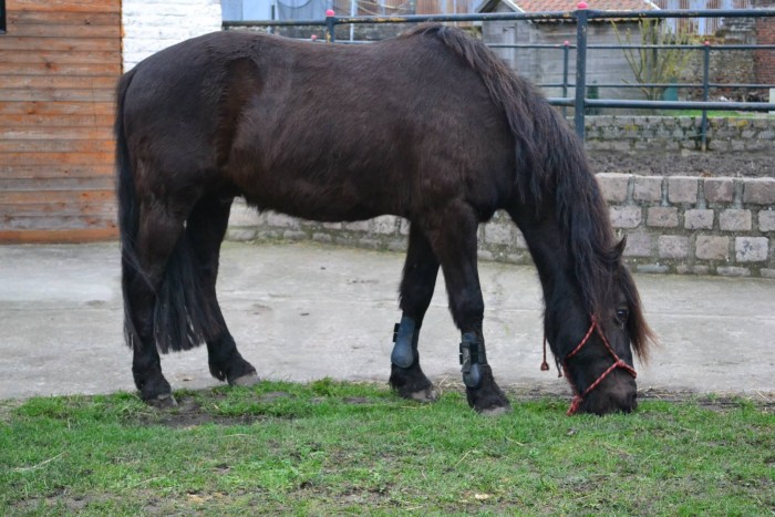 Photo de profil de mood