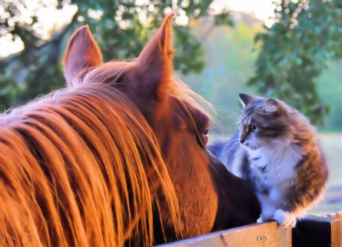 Photo de profil de munday