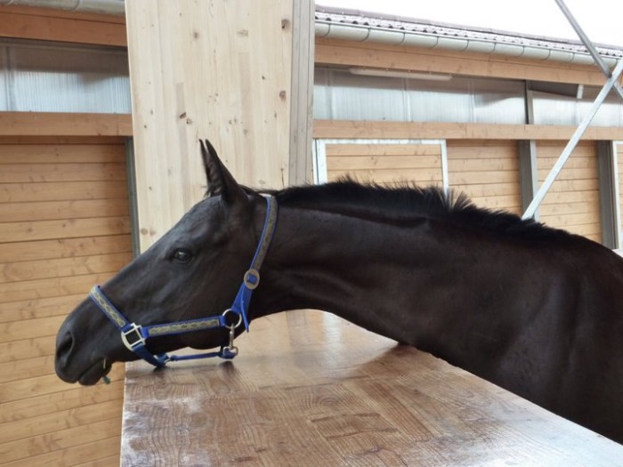 Photo de profil de nadege78
