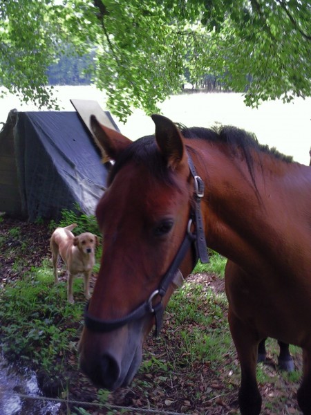 Photo de profil de nanon63