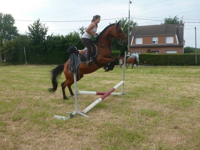 Photo de profil de ninia