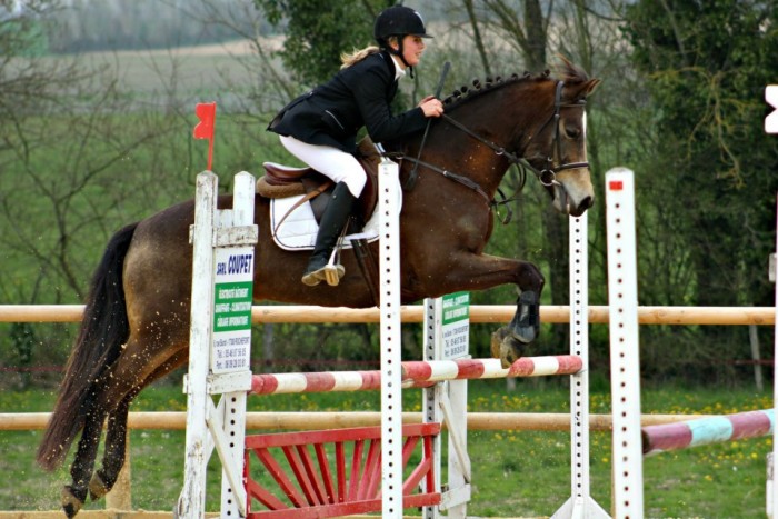 Photo de profil de nlambert