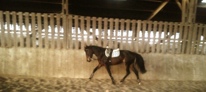 Photo de profil de nouchka16