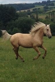 Photo de profil de odre74800