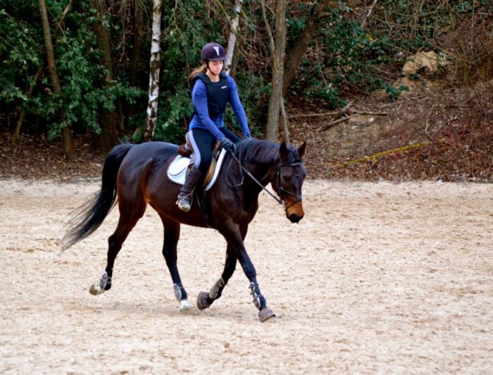 Photo de profil de orelie77100