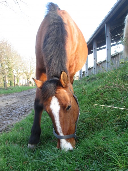 Photo de profil de ouragan56