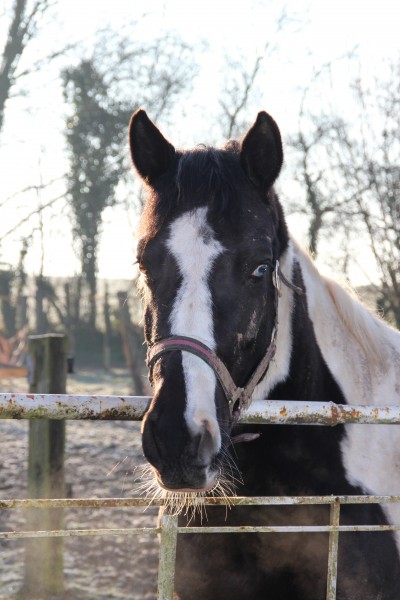 Photo de profil de patjoulie