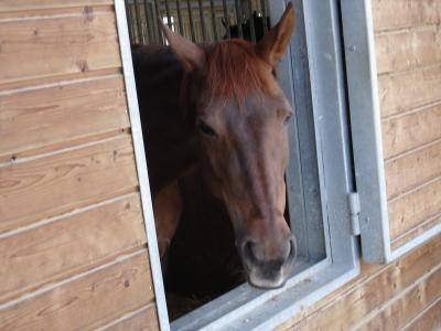 Photo de profil de petiteloute
