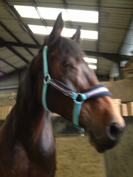 Photo de profil de pimpin