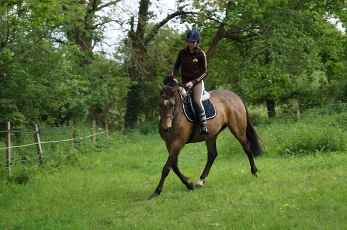 Photo de profil de pjuju44