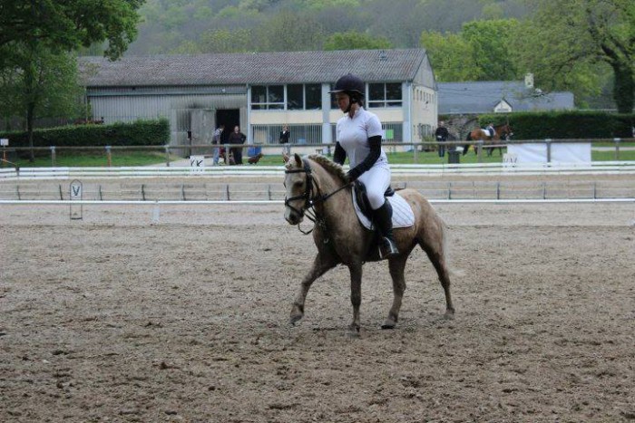 Photo de profil de poneypalomino