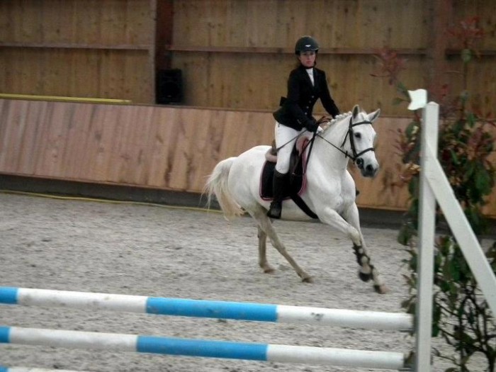 Photo de profil de ponyandhorse