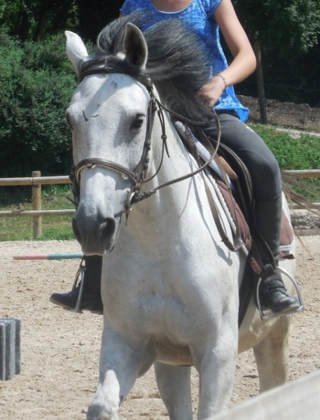 Photo de profil de pounkiemavie