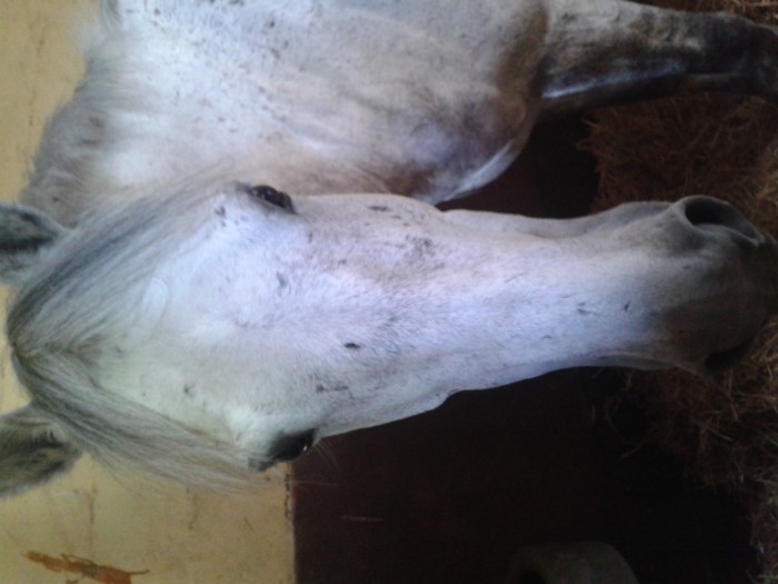 Photo de profil de quartz78