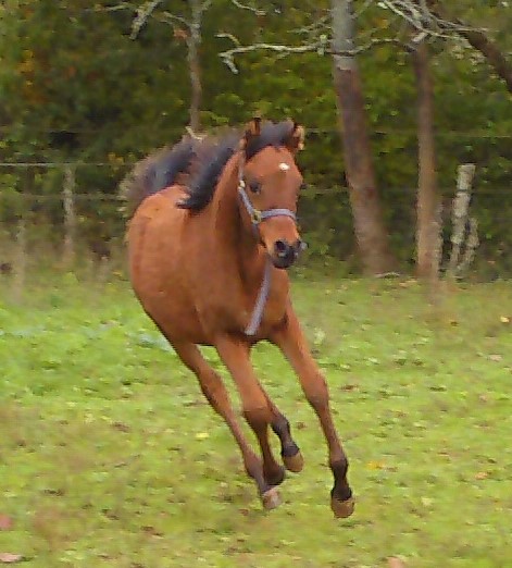 Photo de profil de quionna