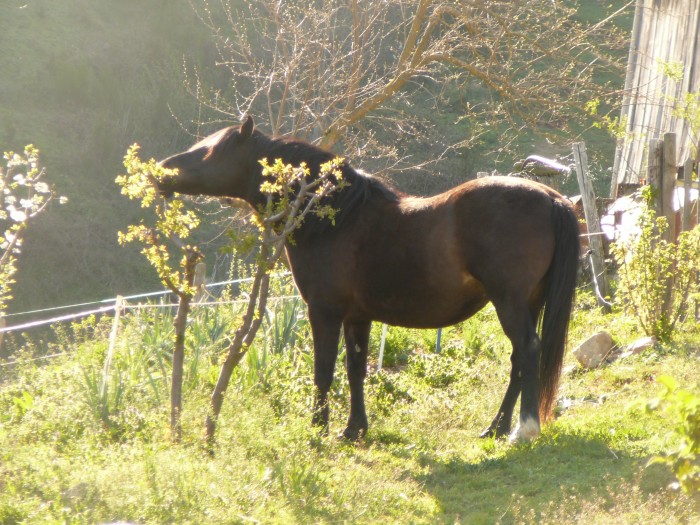 Photo de profil de ranit