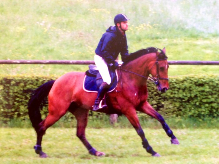 Photo de profil de romain08140