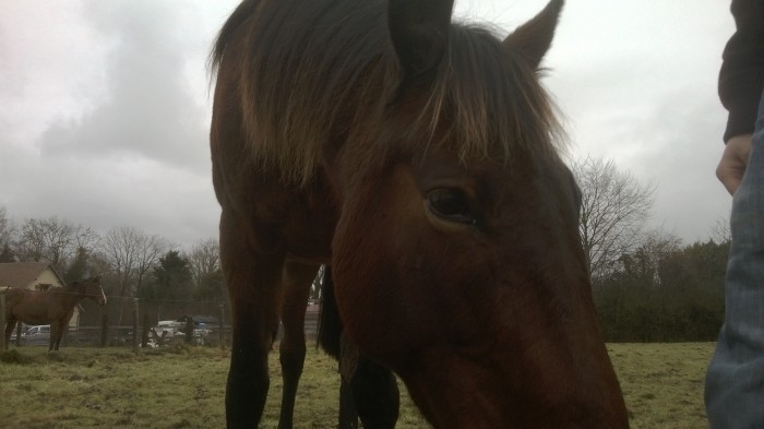 Photo de profil de rosaria