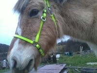 Photo de profil de ryan0311