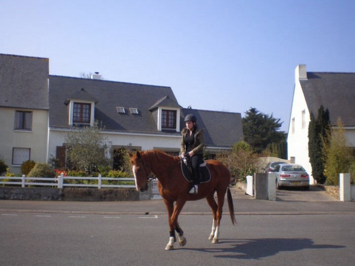 Photo de profil de sabine44