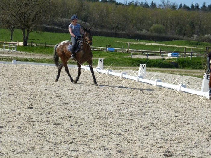 Photo de profil de sarahoceane
