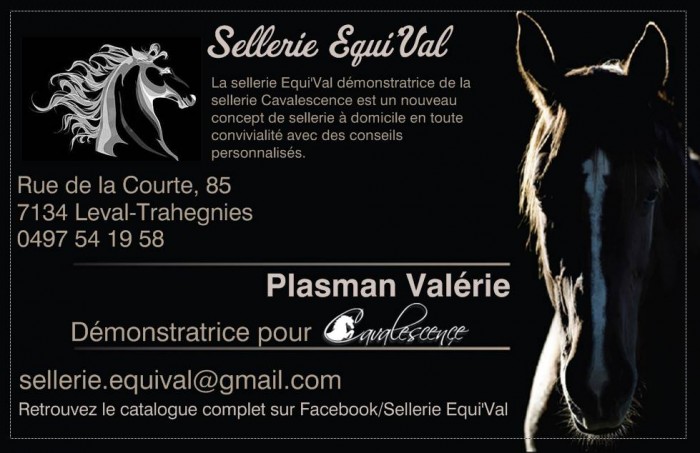 Photo de profil de sellerieequival