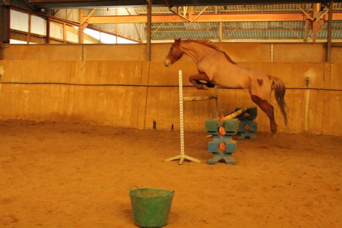 Photo de profil de sixiemesens