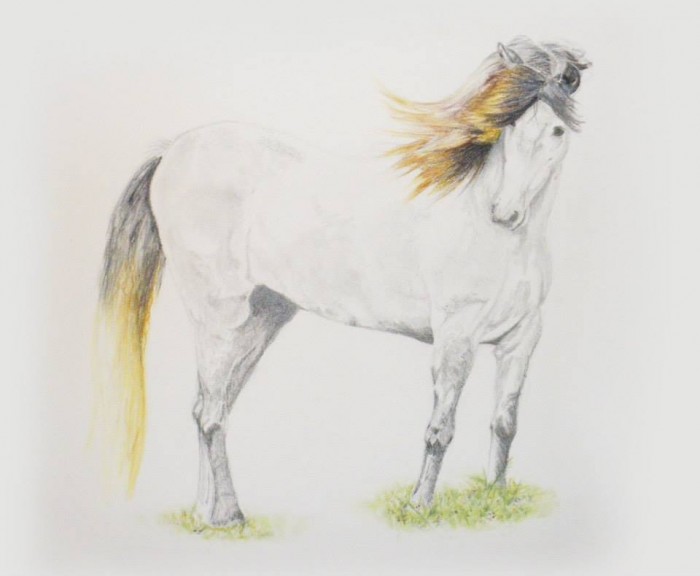 Photo de profil de suenoeros30