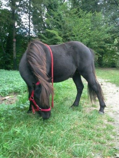 Photo de profil de texasceline