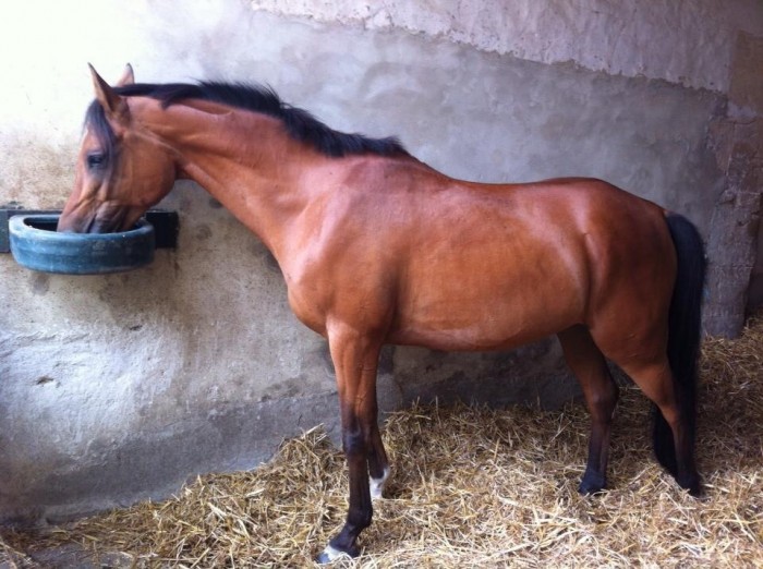 Photo de profil de titia77710