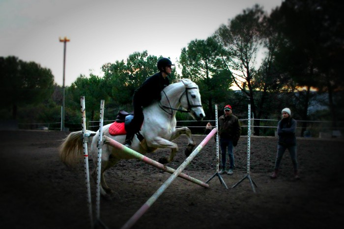 Photo de profil de torryh