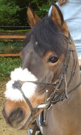 Photo de profil de turbolol