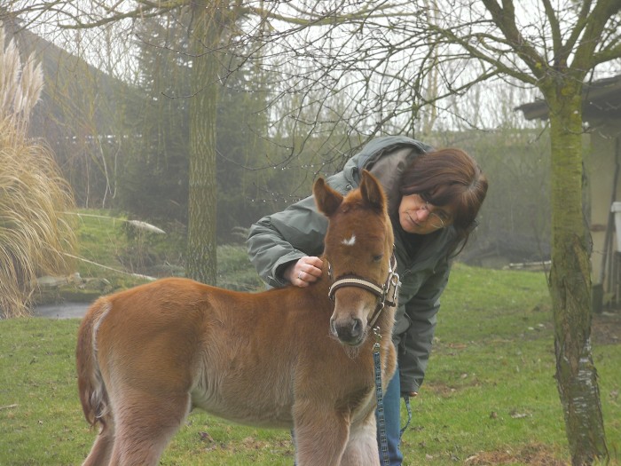 Photo de profil de vaniouchka