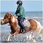 Photo de profil de verveine