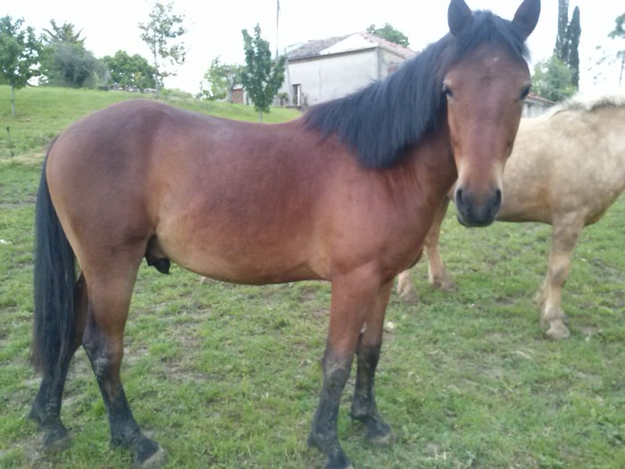 Photo de profil de vinie82