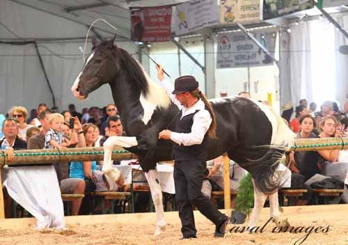 Photo de profil de yvanminguely