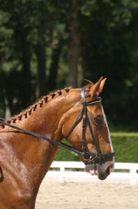 Photo de profil de mabelle