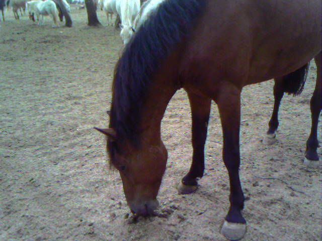 Photo de profil de maeva06